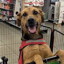 Thumbnail photo of Tiara #1