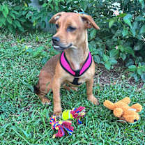 Thumbnail photo of ATENA GRACE #2