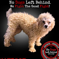 Thumbnail photo of Matisse 3854 #1