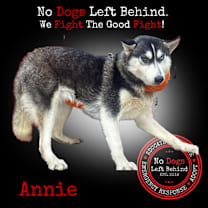 Thumbnail photo of Annie 4222 #4