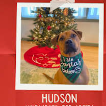 Thumbnail photo of Hudson #1