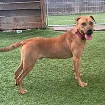 Thumbnail photo of Hudson #2