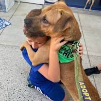 Thumbnail photo of Hudson #3