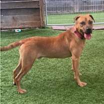 Thumbnail photo of Hudson #4