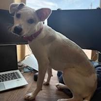 Thumbnail photo of Winnie/Jackie #2