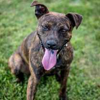 Thumbnail photo of Rhys #2