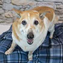 Thumbnail photo of Boo #2