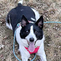 Thumbnail photo of Poncho #2