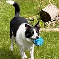 Thumbnail photo of Poncho #3