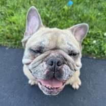 Thumbnail photo of Mabel D6101 #1