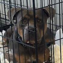 Thumbnail photo of Meatloaf #2