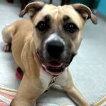 Thumbnail photo of Mika #2