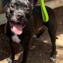 Thumbnail photo of Larry #1