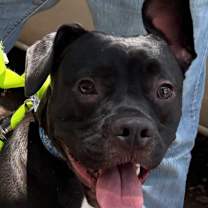 Thumbnail photo of Larry #2