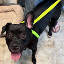 Thumbnail photo of Larry #3