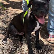 Thumbnail photo of Larry #4