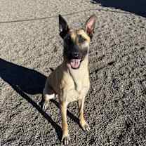 Thumbnail photo of Claus #2