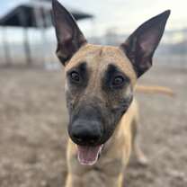 Thumbnail photo of Claus #3