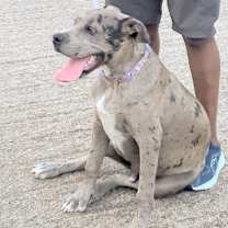 Thumbnail photo of Tyler #1