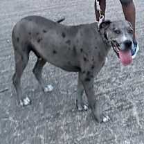 Thumbnail photo of Tyler #2