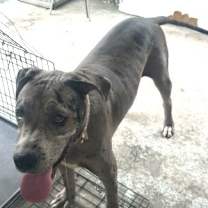 Thumbnail photo of Tyler #3