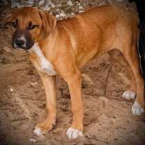 Thumbnail photo of Liza #3