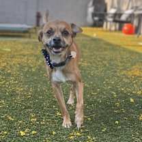 Thumbnail photo of Oscar #2