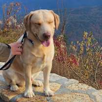 Thumbnail photo of Ashot #3