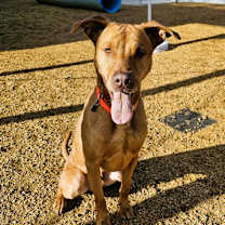 Thumbnail photo of Jake #2