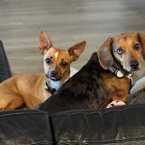 Thumbnail photo of Hera #3