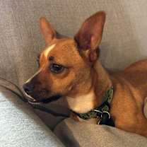 Thumbnail photo of Hera #4