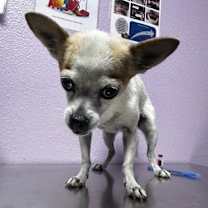 Thumbnail photo of 59223373 #1