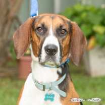 Thumbnail photo of Barkley #3