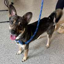 Thumbnail photo of Oliver #1