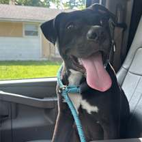 Thumbnail photo of Macarena Marlin #2