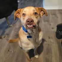 Thumbnail photo of Marshall #2