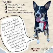 Thumbnail photo of Gabi #2