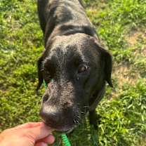 Thumbnail photo of Lainey  #3