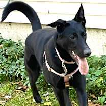 Thumbnail photo of Frida #4