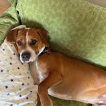 Thumbnail photo of Simon #1