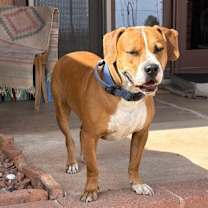 Thumbnail photo of Simon #2