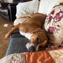 Thumbnail photo of Simon #3