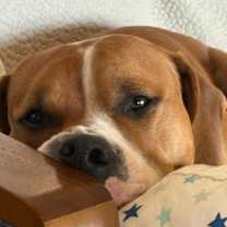 Thumbnail photo of Simon #4