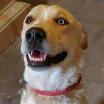 Thumbnail photo of Kayla #1