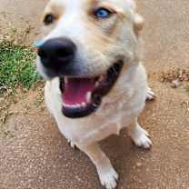 Thumbnail photo of Kayla #2