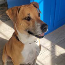 Thumbnail photo of Astro #2