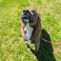 Thumbnail photo of Tina #1