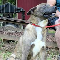 Thumbnail photo of Tina #3