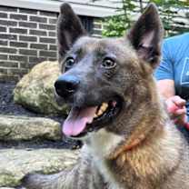 Thumbnail photo of Tina #4