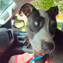 Thumbnail photo of Jasmine #2